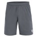 MESA HERO SHORTS ANT