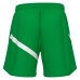 SHEN ECO SHORTS GRN/WHT