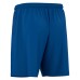 SKARA ECO SHORTS ROY