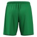 SKARA ECO SHORTS GRN