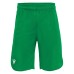 OXIDE HERO SHORTS GRN