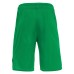 OXIDE HERO SHORTS GRN